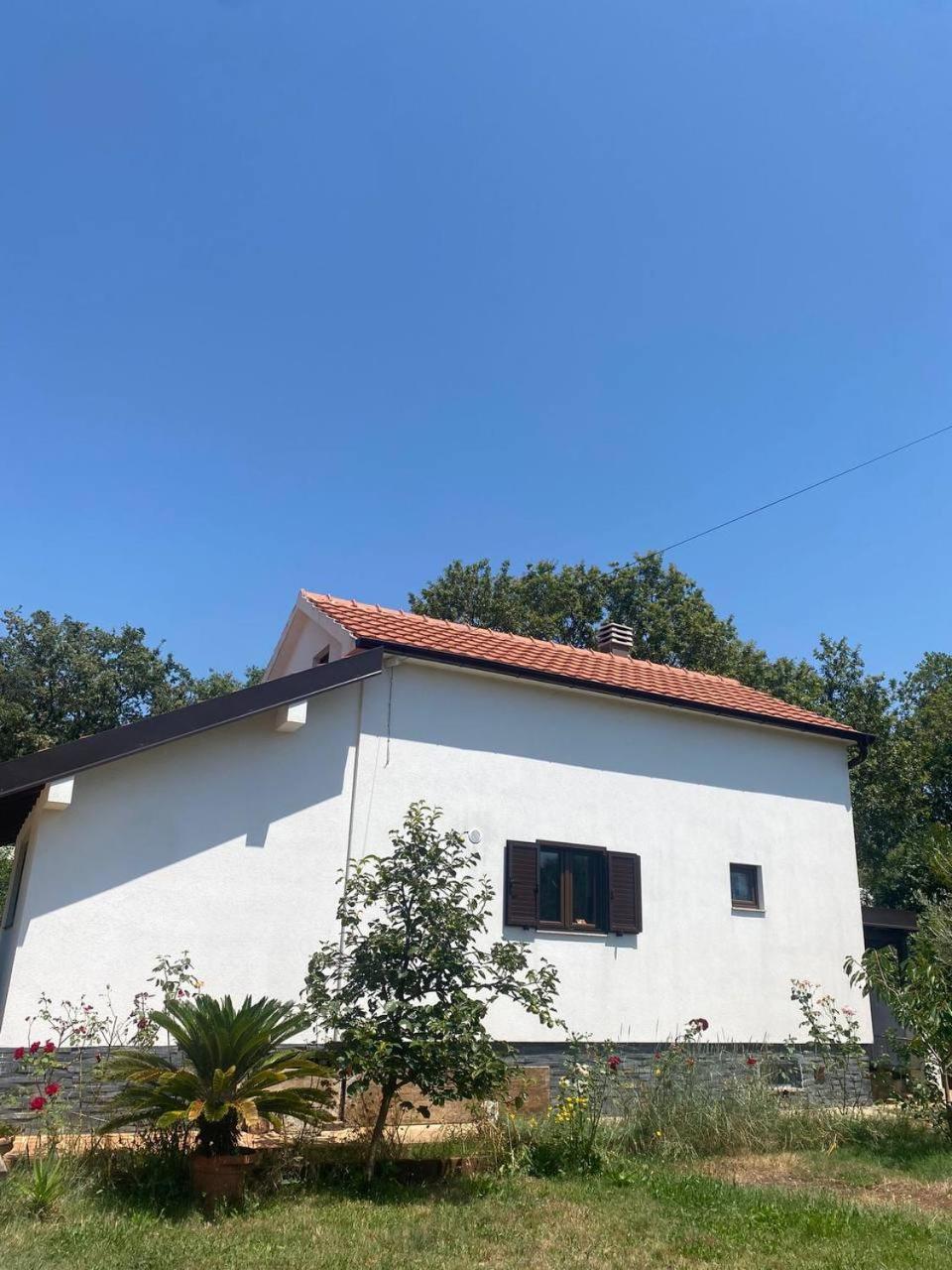 Villa Shu Кримовица Экстерьер фото